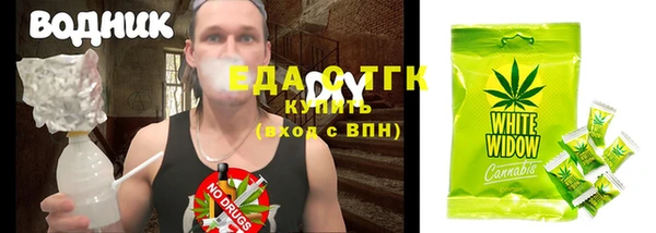 индика Гусиноозёрск