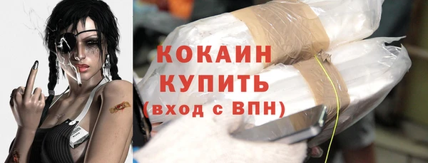 твердый Михайловск