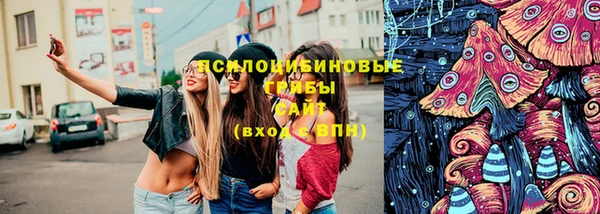 дурь Наволоки